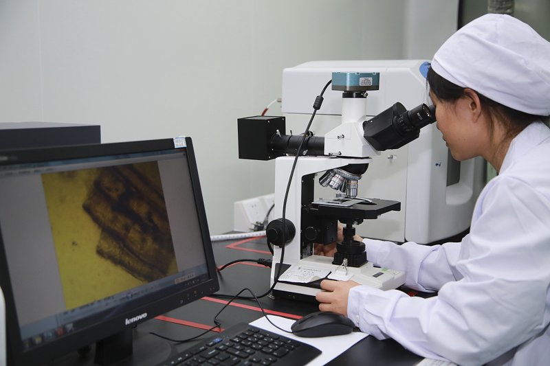 生物科技:一场基因革命的叙事