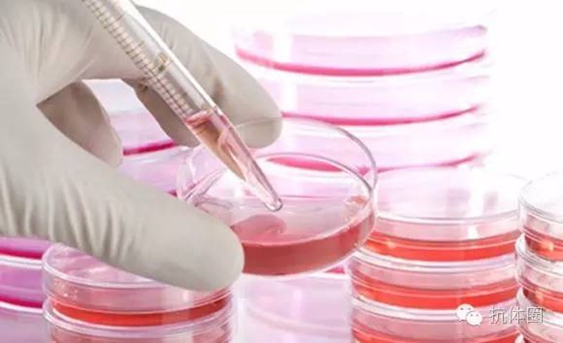 生物科技:未来的钥匙,还是潘多拉的盒子?