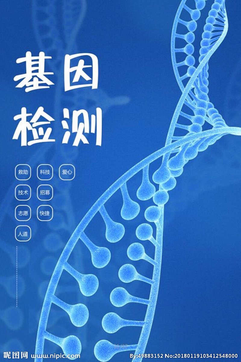 医药研发：从实验室到临床的探索之旅